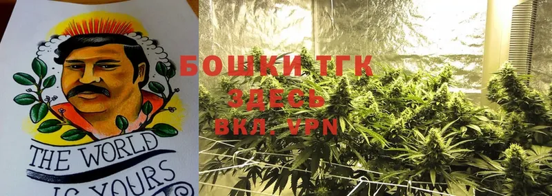 Бошки Шишки Ganja  наркошоп  Духовщина 